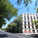 Rent a room in madrid