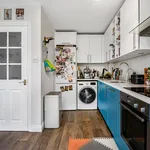 Rent 3 bedroom house in Brighton