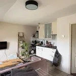 Huur 1 slaapkamer appartement van 39 m² in Uithuizermeeden