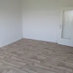 Rent 1 bedroom apartment of 28 m² in Leipzig