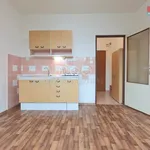 Rent 1 bedroom apartment of 20 m² in Jindřichův Hradec