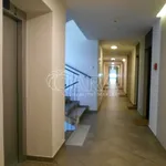 Rent 1 bedroom apartment of 30 m² in Prague