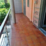 Rent 2 bedroom apartment of 45 m² in Milano