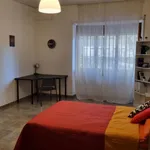 Rent 3 bedroom apartment in Naples