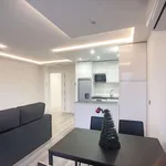 Rent 1 bedroom apartment in madrid