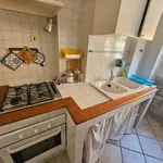 Rent 3 bedroom apartment of 85 m² in Roma