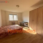 Rent 3 bedroom apartment of 48 m² in Havířov