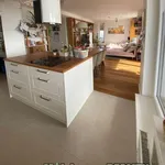 Rent 4 bedroom apartment of 116 m² in Prague