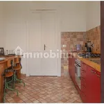 Rent 2 bedroom apartment of 65 m² in Turin