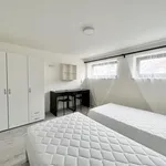 Rent 1 bedroom apartment in Brno