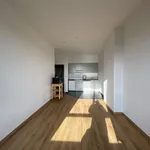 Rent 1 bedroom apartment in Antwerp