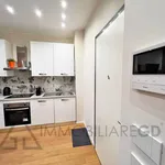 Rent 2 bedroom apartment of 50 m² in Torino