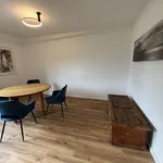 Rent 1 bedroom apartment of 60 m² in munich