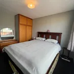 Rent 3 bedroom house in Christchurch