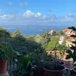 Rent 2 bedroom apartment of 115 m² in Montefiascone