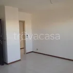 Rent 3 bedroom apartment of 80 m² in Torino