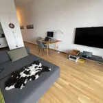 Rent 1 bedroom apartment of 57 m² in berlin