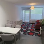 Rent 1 bedroom apartment of 62 m² in Brno