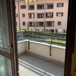 Rent 2 bedroom apartment of 55 m² in Monza