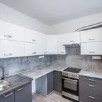 Rent 3 bedroom apartment of 67 m² in Netvořice