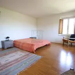 Rent 4 bedroom apartment of 80 m² in Lucca