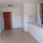 Rent 2 bedroom apartment of 45 m² in Mentana