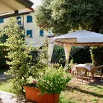 Rent 2 bedroom house of 55 m² in pietrasanta