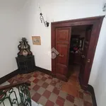 Rent 1 bedroom apartment of 25 m² in Veroli