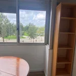 Rent a room of 110 m² in Lisboa