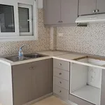 Rent 2 bedroom apartment of 77 m² in Νησί