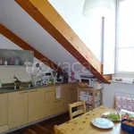 Rent 4 bedroom apartment of 110 m² in Torino