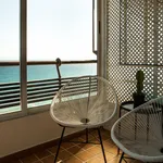 Rent 4 bedroom apartment in Alicante