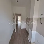 Rent 3 bedroom apartment of 90 m² in Milano