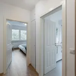 Rent 1 bedroom apartment of 50 m² in Essen