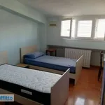 Rent 4 bedroom apartment of 110 m² in L'Aquila