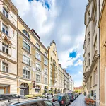 Pronajměte si 2 ložnic/e byt o rozloze 53 m² v Capital City of Prague