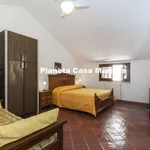 Rent 2 bedroom apartment of 60 m² in Marsala