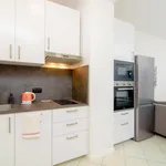 Rent 1 bedroom apartment in Prague