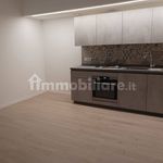 Rent 3 bedroom apartment of 120 m² in Parma