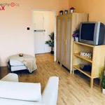 Rent 2 bedroom apartment of 38 m² in Praha