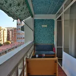 Rent 4 bedroom apartment in Valencia