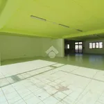 Affitto 10 camera appartamento di 450 m² in Tortoreto