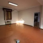 Affitto 3 camera appartamento di 220 m² in Mantova