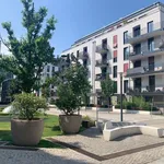 Rent 1 bedroom apartment in berlin