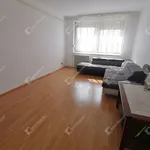 Rent 1 bedroom apartment of 28 m² in Gyor