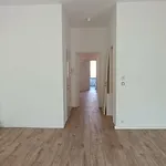 Rent 2 bedroom apartment in Brussels