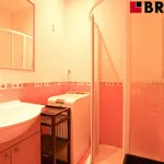 Rent 2 bedroom apartment of 63 m² in Brno