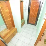 Rent 1 bedroom apartment of 28 m² in Timișoara