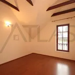 Rent 3 bedroom apartment of 110 m² in Prague