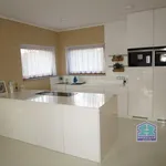 Rent 4 bedroom house of 796 m² in Stříbro